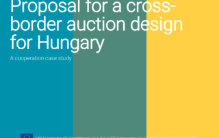 auction design Hungary