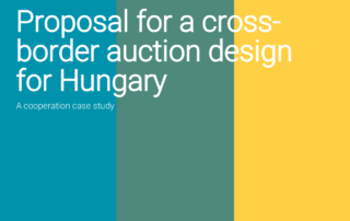 auction design Hungary